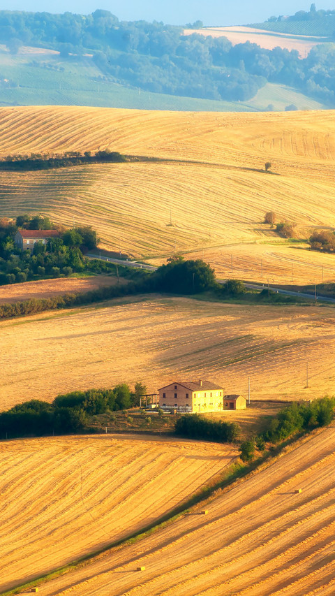 Summer Farm Scenery in Marche preview