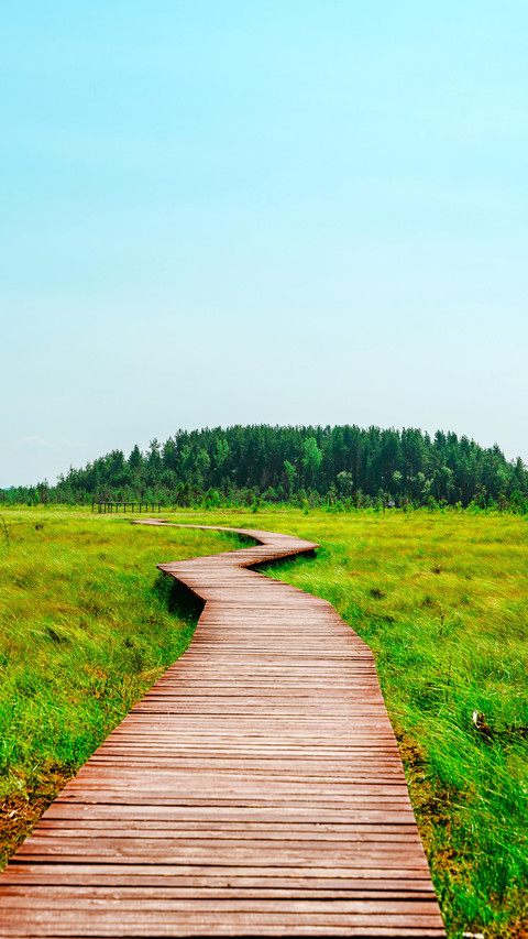 Quiet Nature Trail, beautiful landscape preview