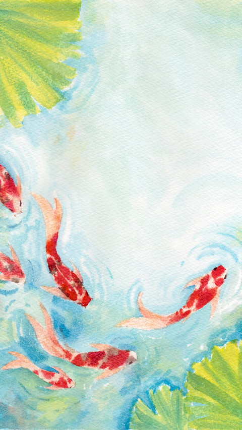 Lucky Koi Fish Illustration preview