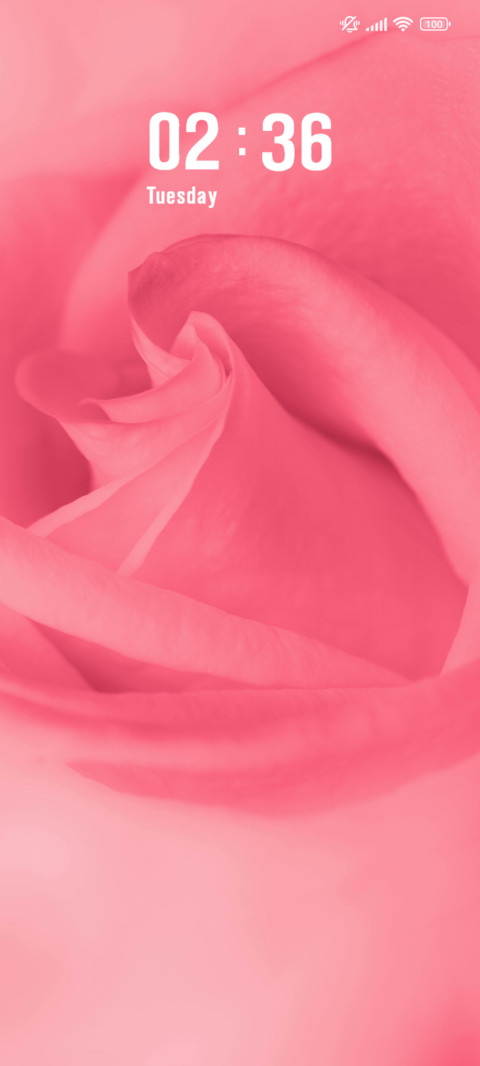 Rose preview