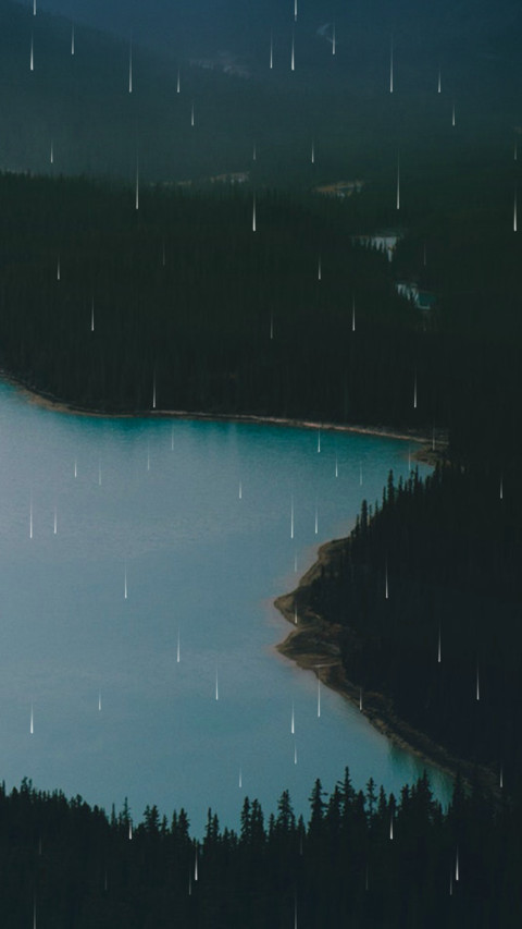 山间林雨 preview