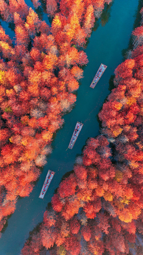 Where is a good place to travel in autumn 76 preview