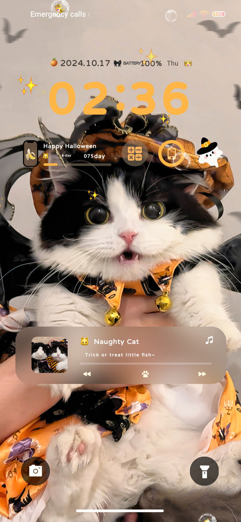 Cute Halloween cat preview