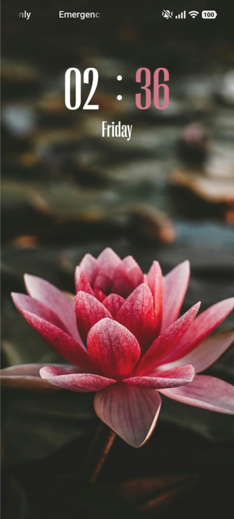 Lotus preview