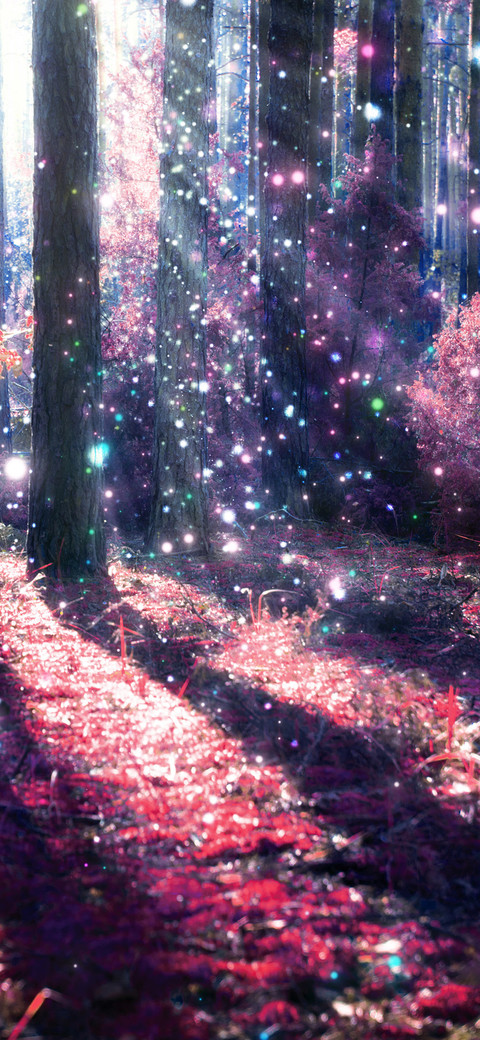The woods-PAIXIN  preview