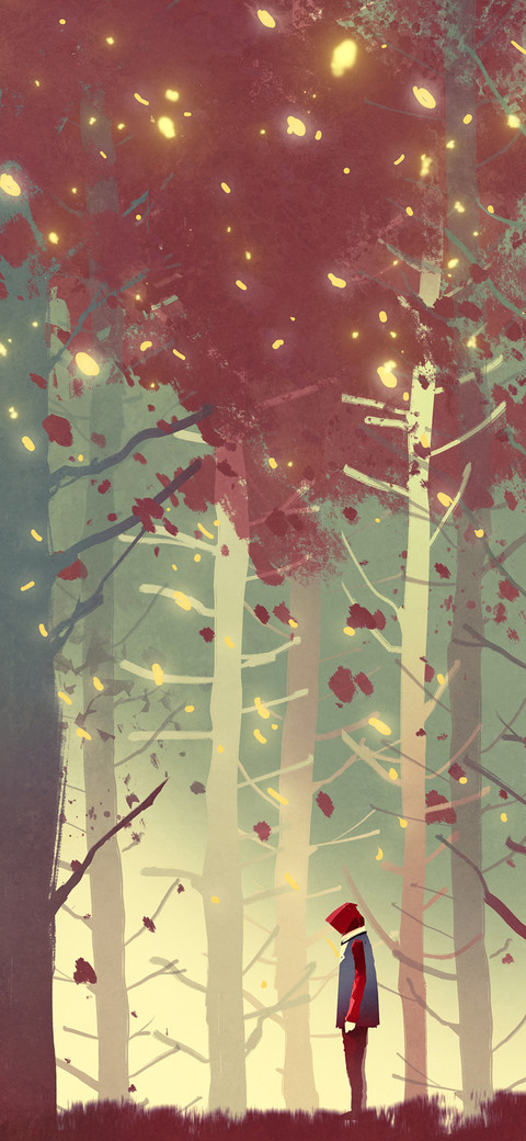 The woods-PAIXIN  preview