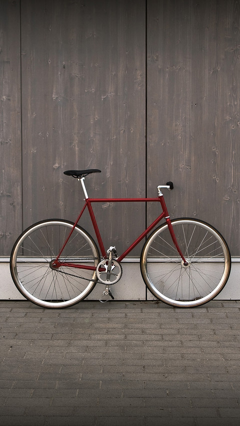 Internatioanl-bicycle preview