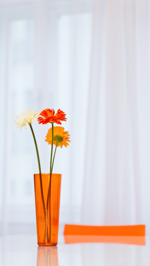 Vase with three gerbera flowers on the table in dining area preview