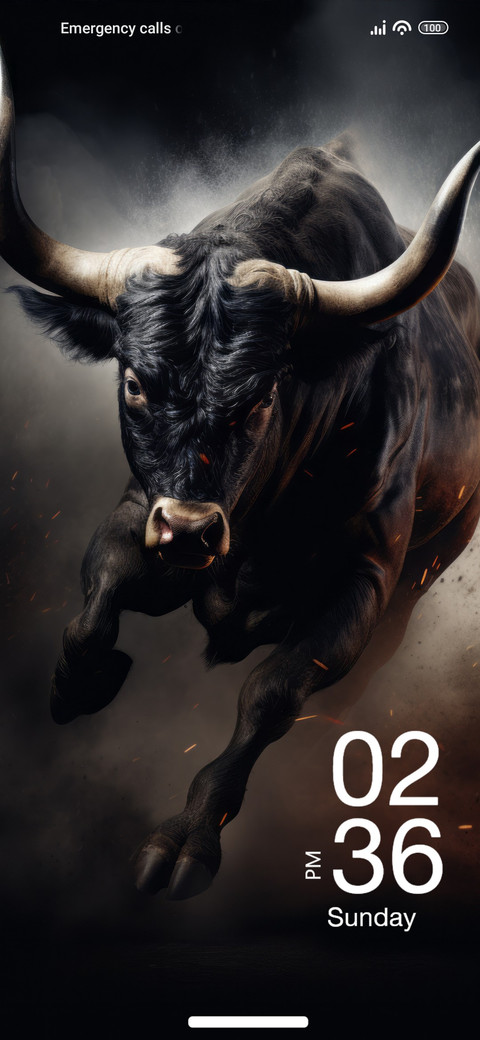 Angry Bull preview