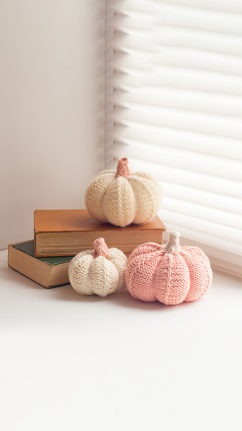 Halloween mood, knitted pumpkin front of window preview
