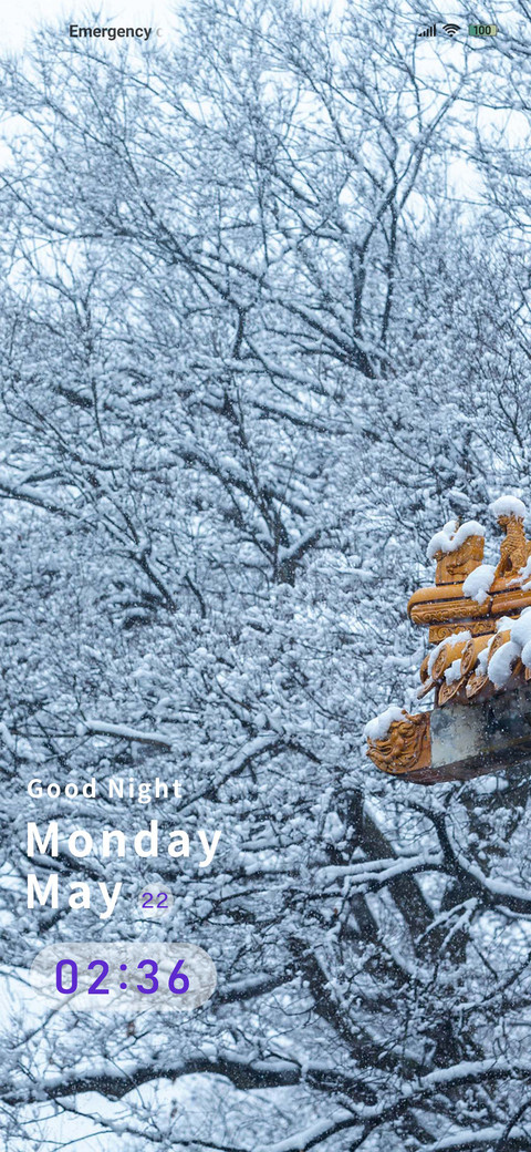 Roof snow preview