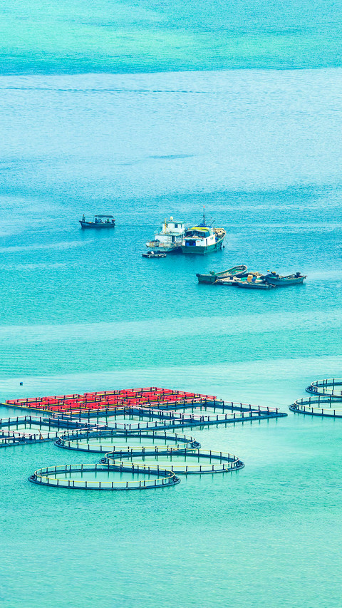 The fishing raft in Lingshui Danjia Fishing Village preview