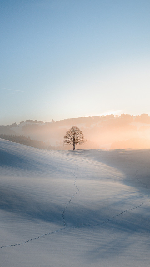May the winter solstice come as promised 20 preview