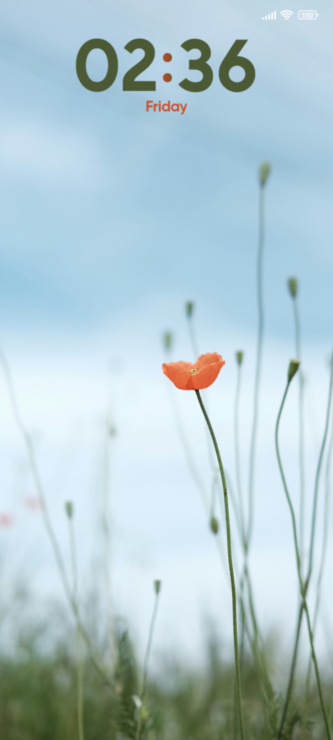 Petaled Flower preview