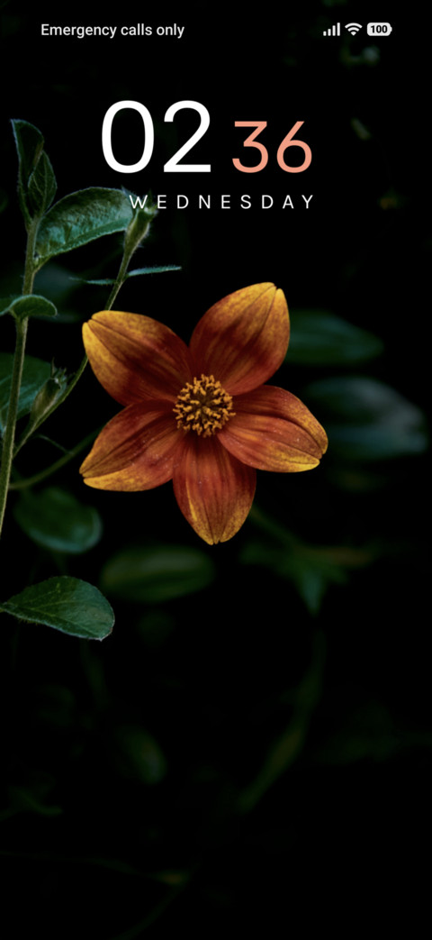 Amber Bloom preview