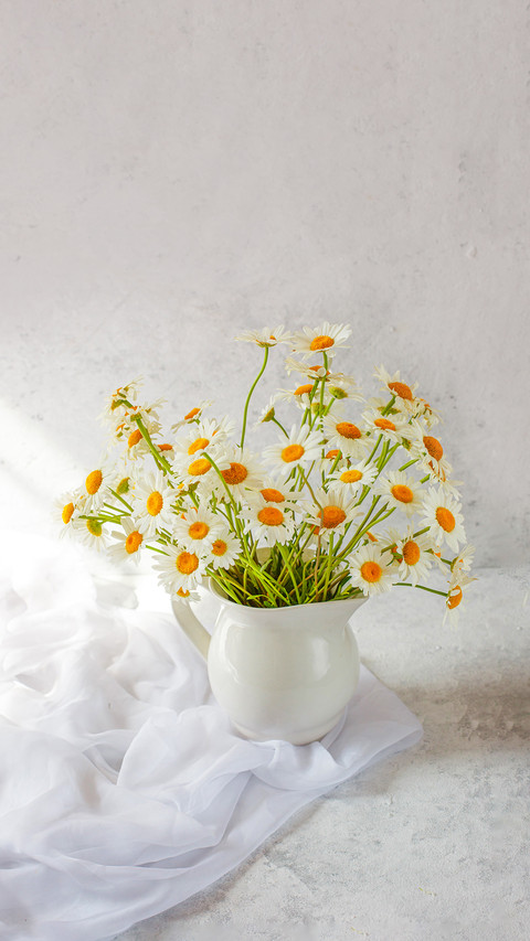 Bouquet of daisies on a light background preview