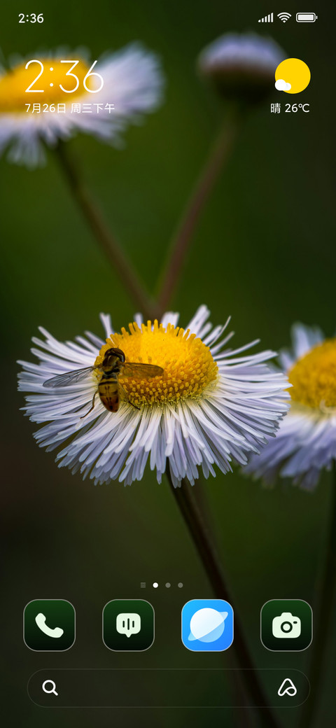 Bee Daisy preview