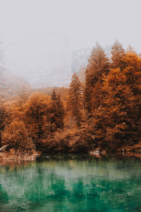 Autumn B1 preview