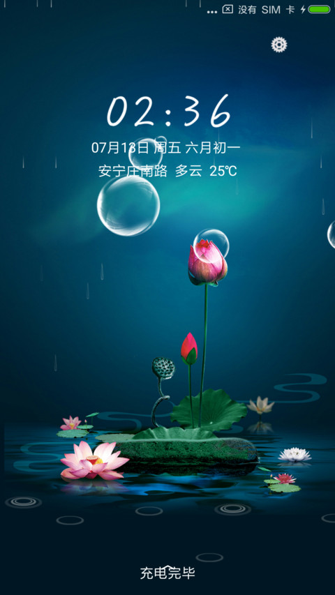 夏夜·荷韵 preview