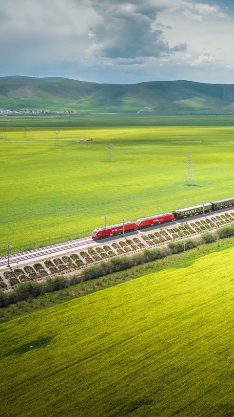 Train travel in Menyuan oil rape flower sea in Qinghai preview