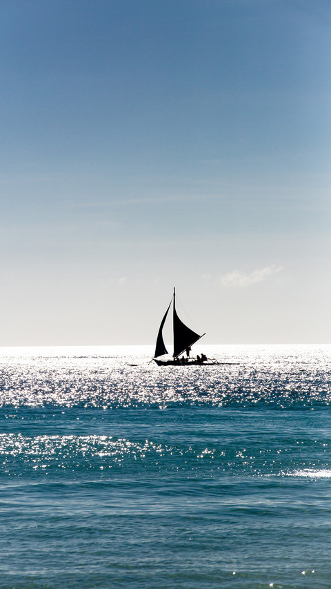 Fashion healthy sail preview