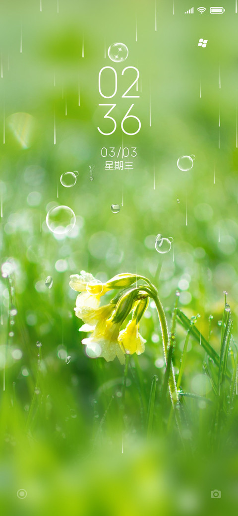 花开时 preview