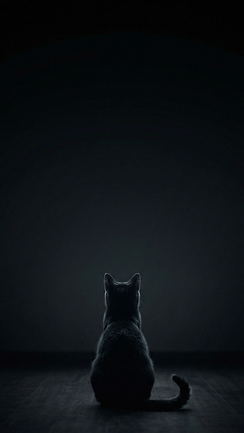 Silent Observer Cat Silhouette preview