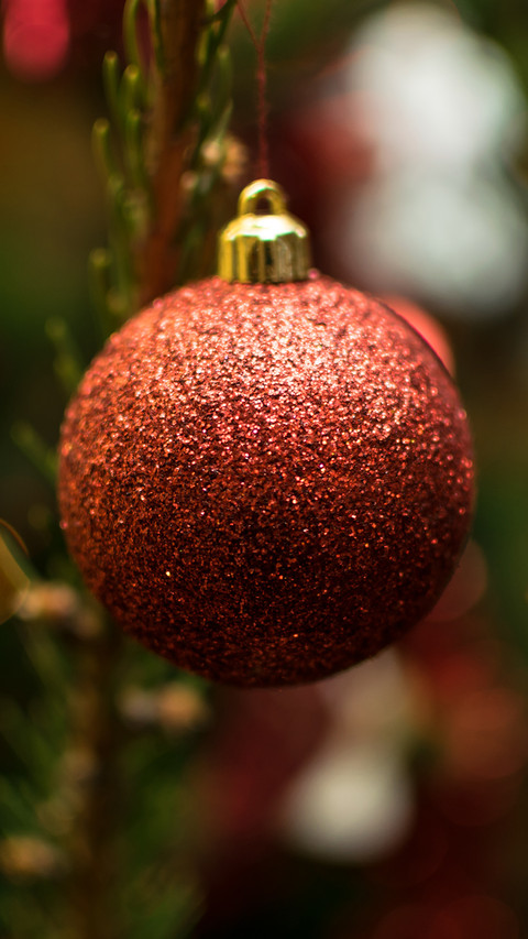 international_festival (18) preview