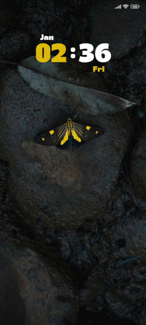 Butterfly preview