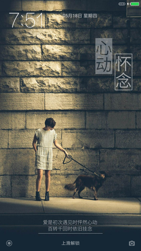 心动怀念 preview
