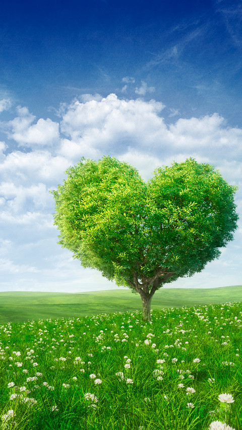Green eye protection prairie wallpaper preview