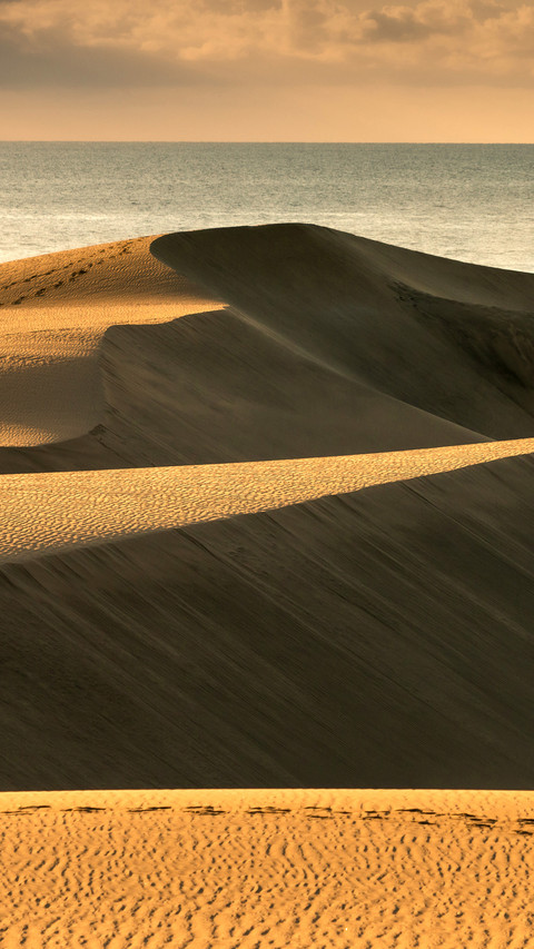 Maspalomas dunes in sunrise light preview
