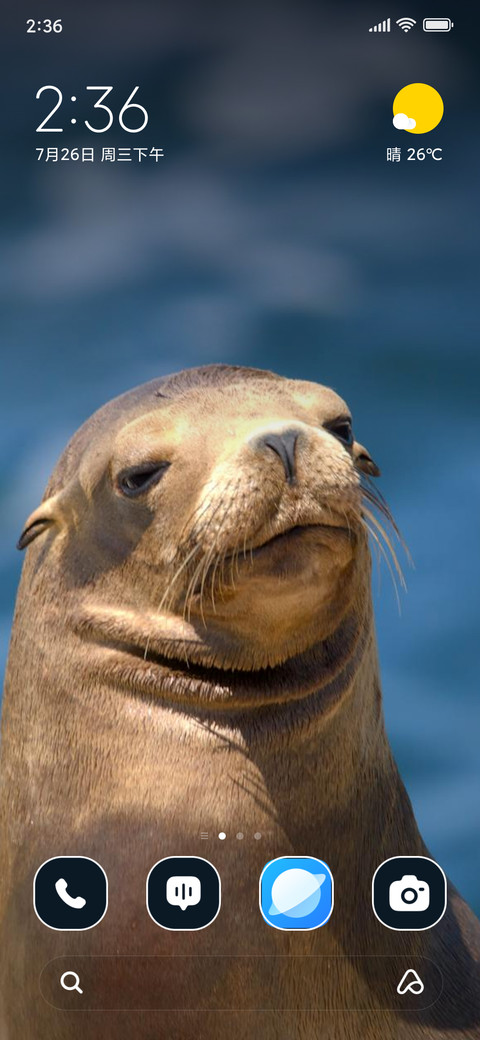 Seal in Sea preview