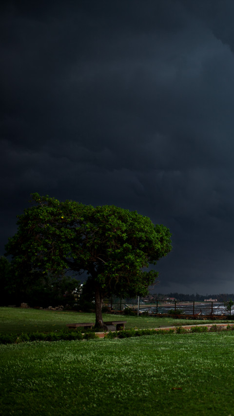 Murugan (3) preview