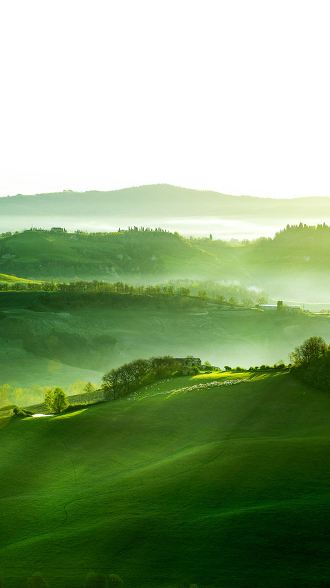 Countryside, San Quirico D`Orcia , Tuscany, Italy preview