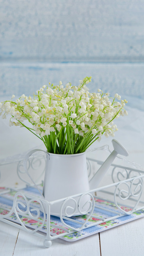 Lily of the valley is so easy to raise 7 preview