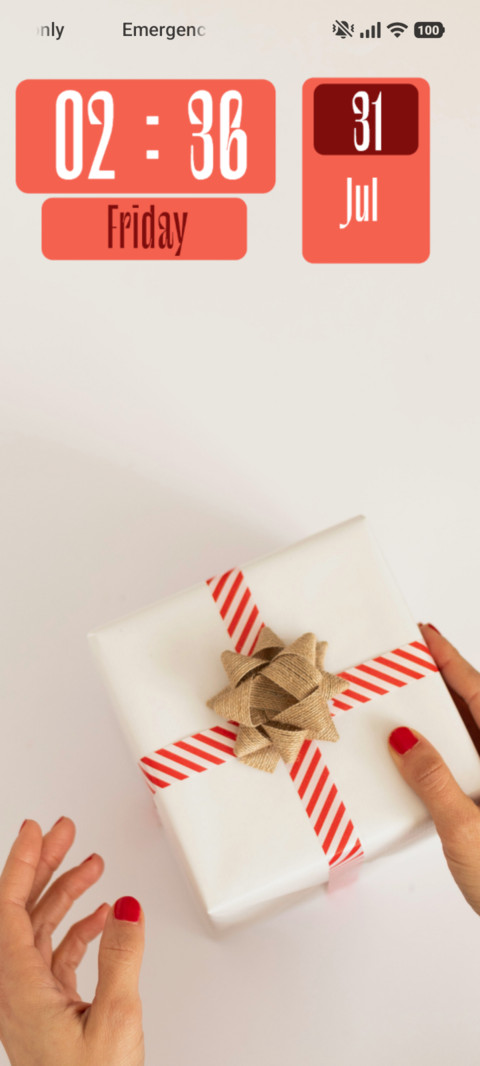 Santa Gift preview