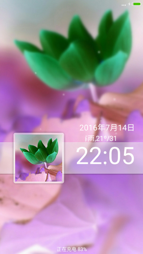 最美荷花（全图标） preview