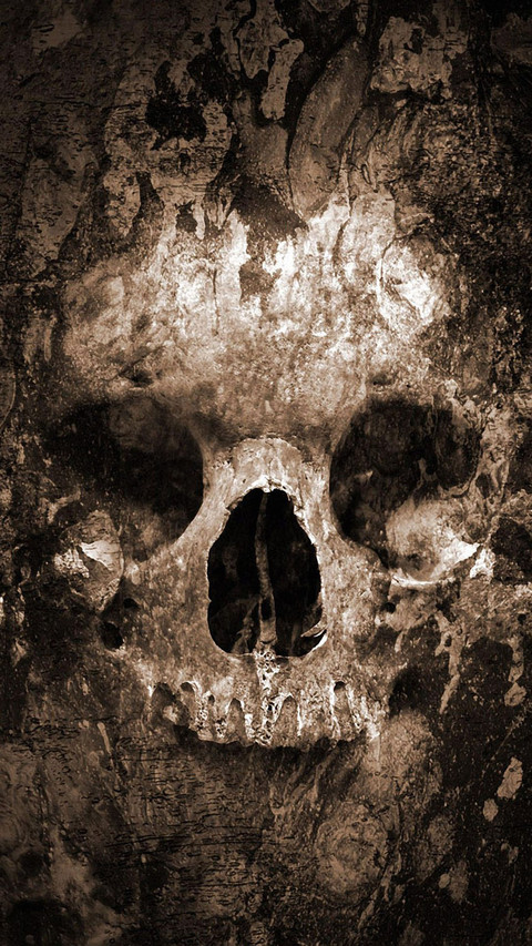 human skull preview