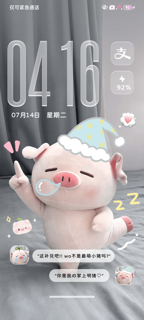 重感 最萌小猪包 preview