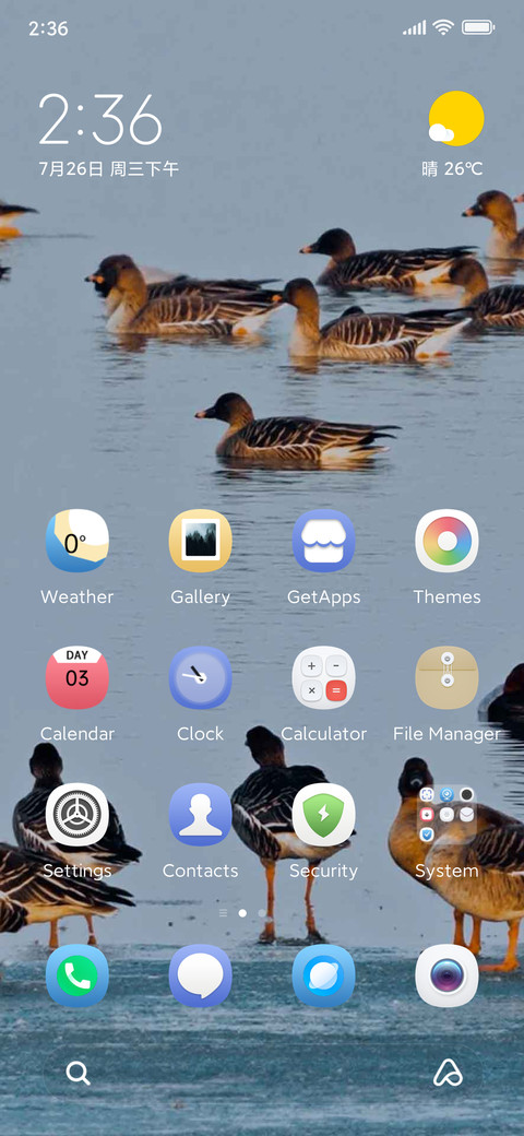 bird watching preview