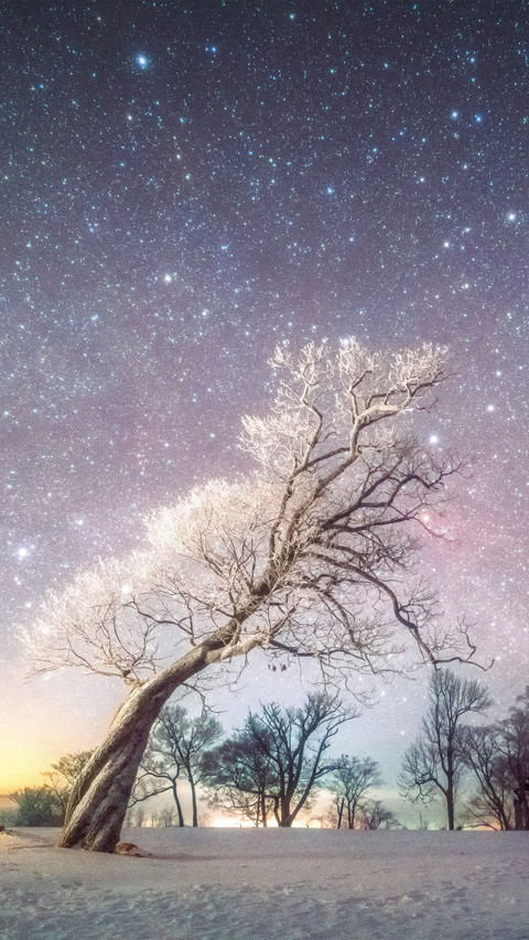 Winter starry sky in scenic area preview