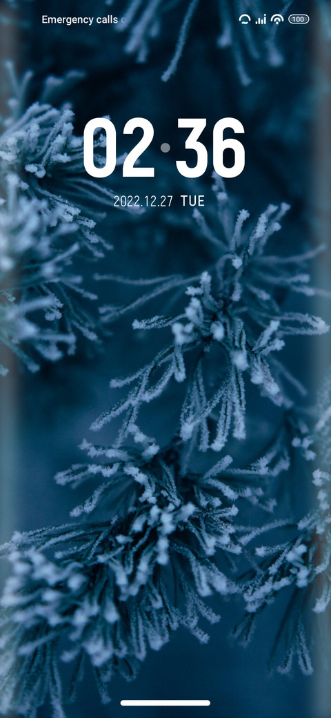 Elsa preview