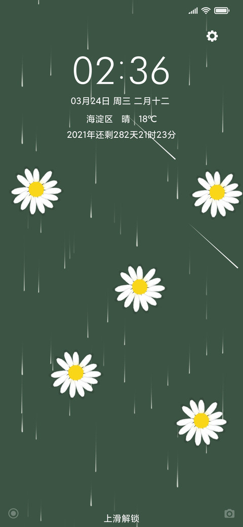 小雏菊 preview
