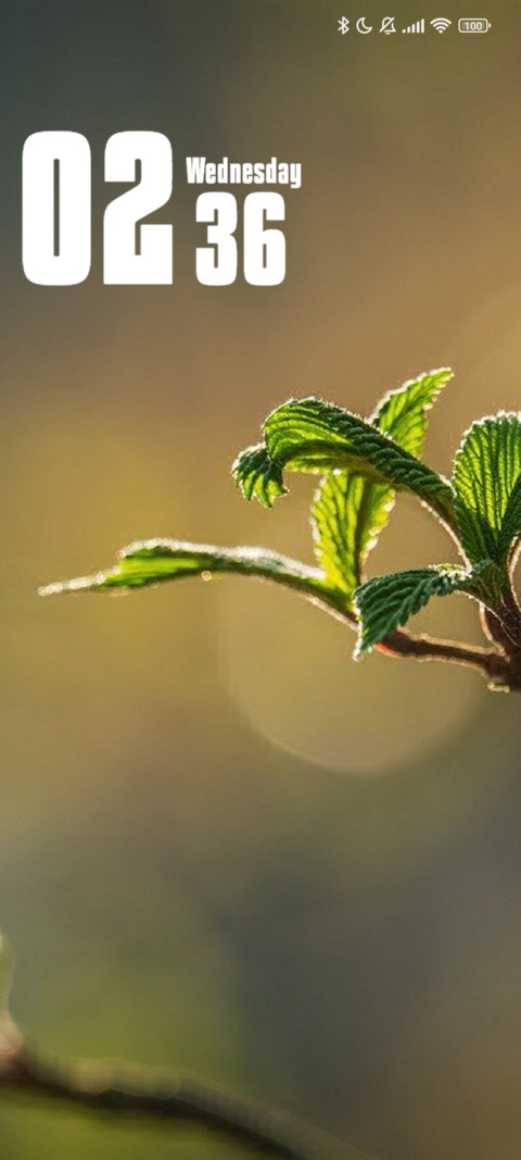 Leaves preview