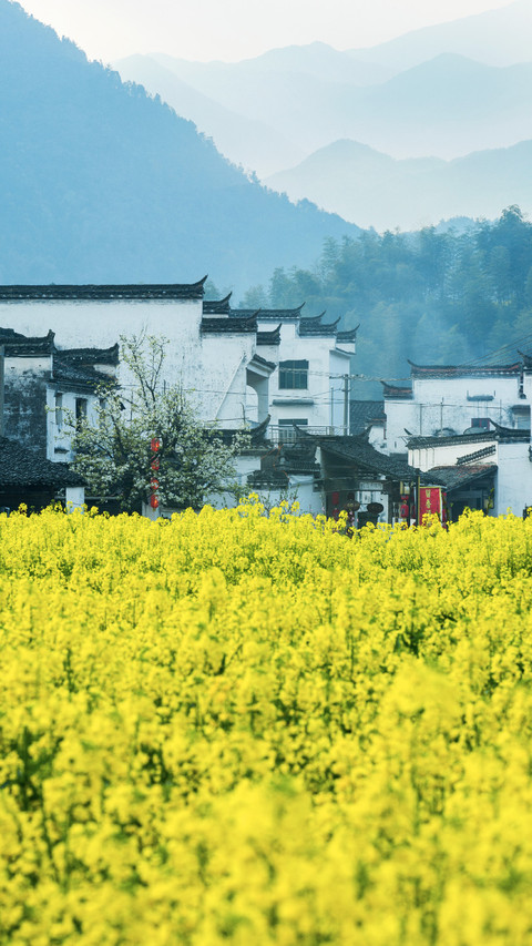 春是最深情的季节 preview
