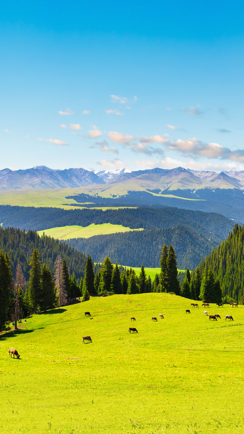 Kalajun Grassland Landscape in Xinjiang, China preview