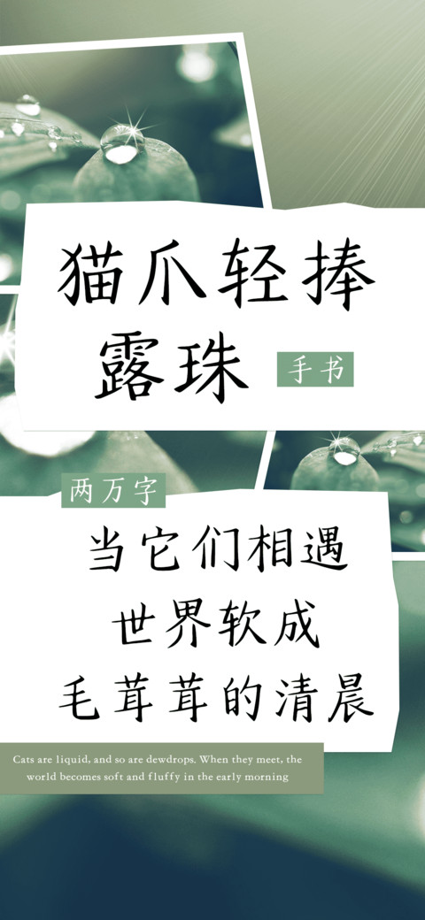 猫爪轻捧露珠 preview