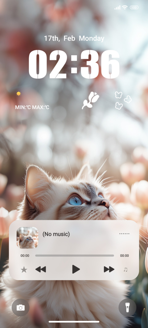 Ragdoll Cat preview
