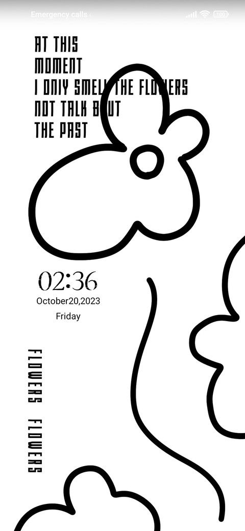 Black and white preview